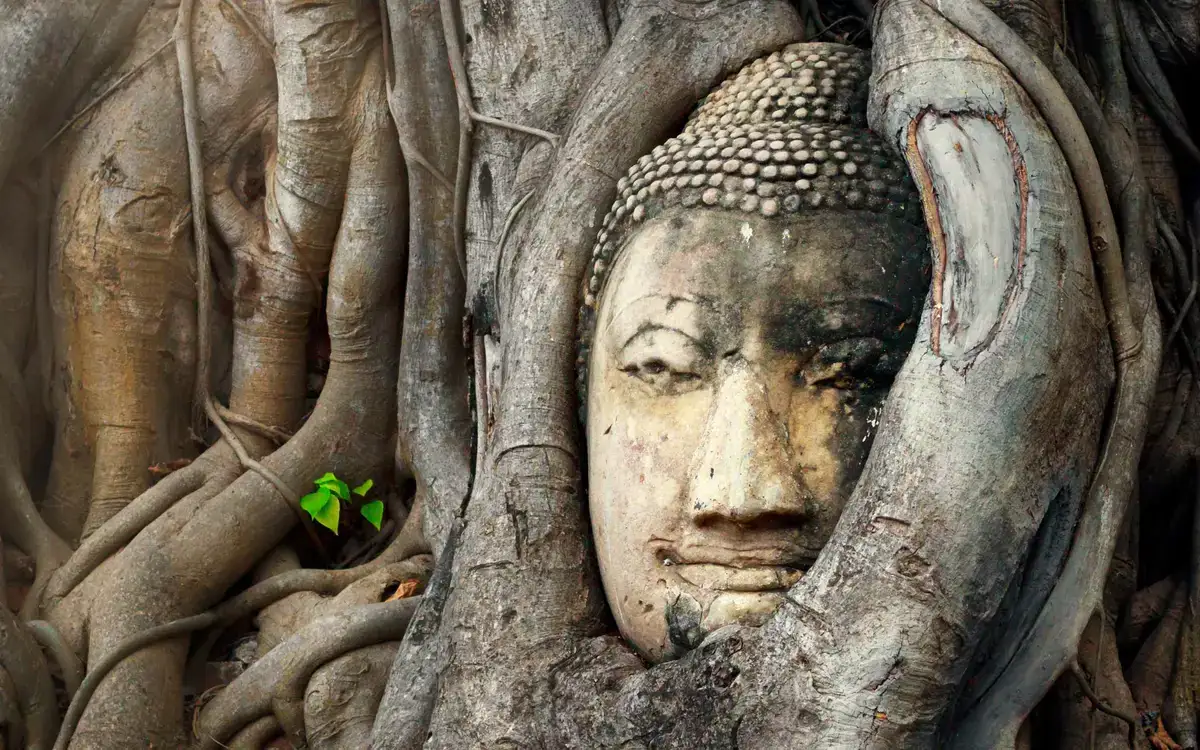 ¿Cómo Reservar tus Actividades en Bangkok? Guía Paso a Paso con Civitatis